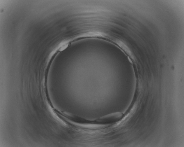 X0000086220797200704051239