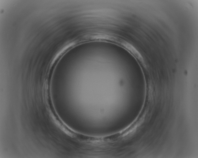 X0000086220798200704051239