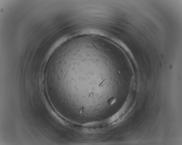 X0000086220799200704051239