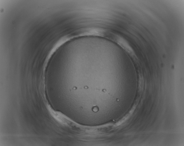 X0000086220800200704051239