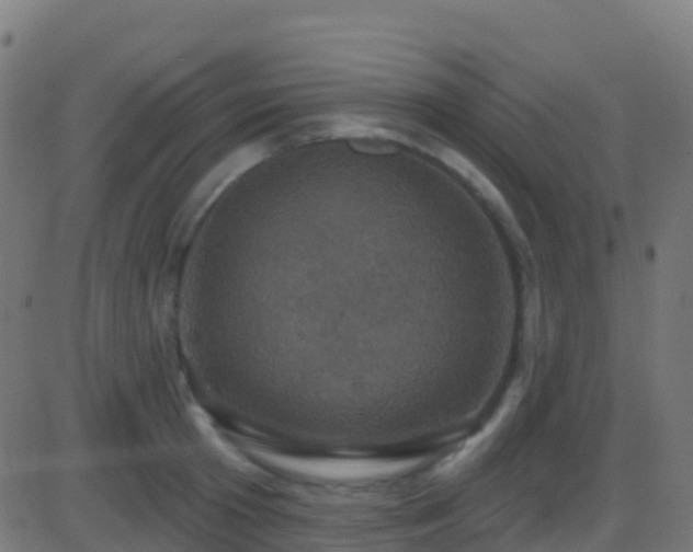 X0000086220801200704051239