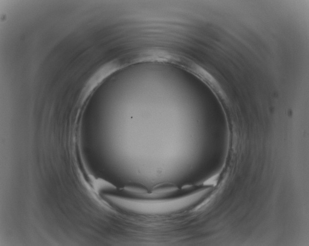 X0000086220802200704051239