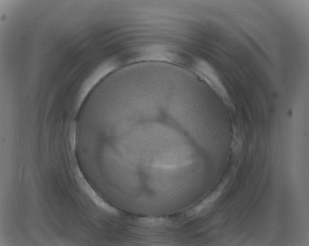 X0000086220804200704051239