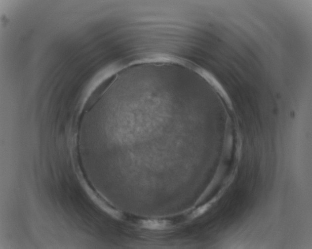 X0000086220805200704051239