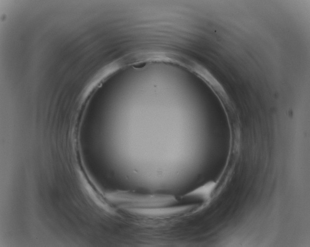 X0000086220806200704051239