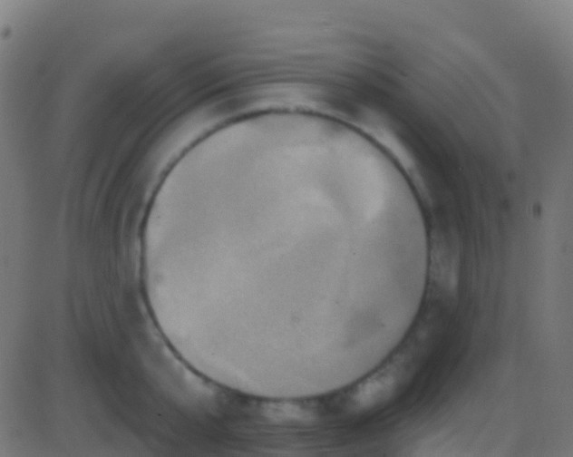 X0000086220807200704051239