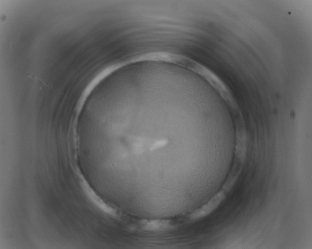 X0000086220808200704051239