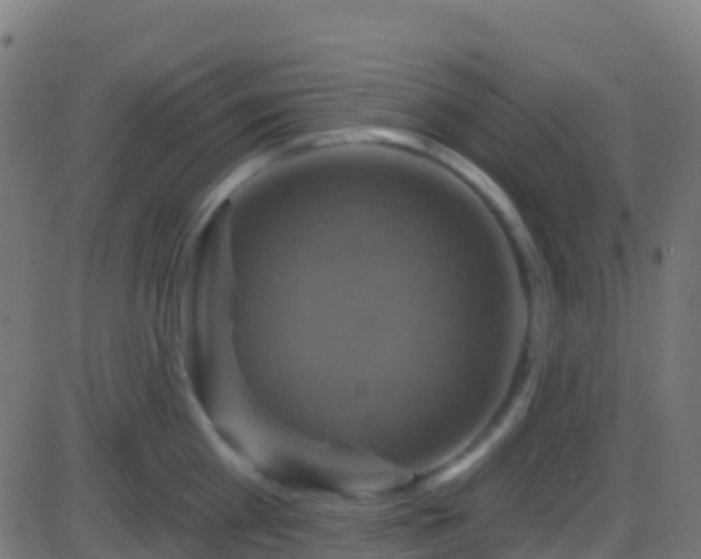 X0000086220809200704051239