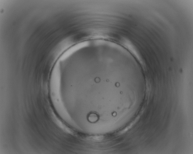 X0000086220810200704051239