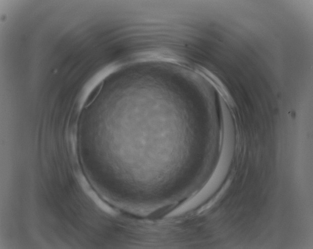 X0000086220812200704051238