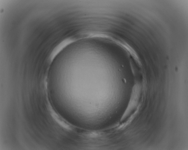 X0000086220814200704051238