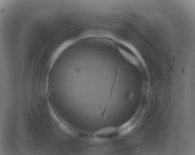 X0000086220815200704051238