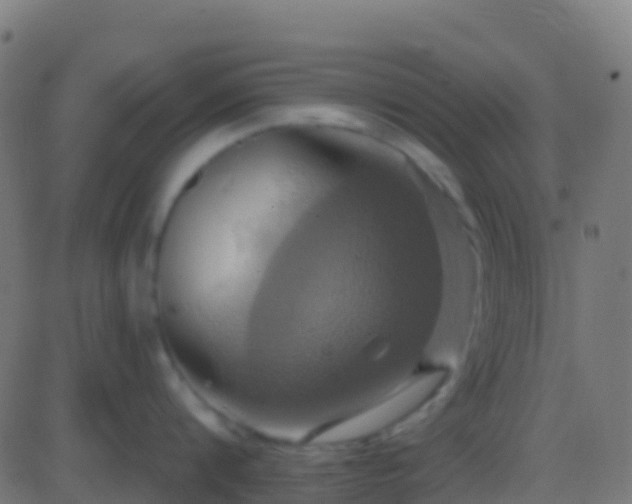 X0000086220816200704051238