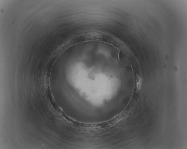 X0000086220819200704051238