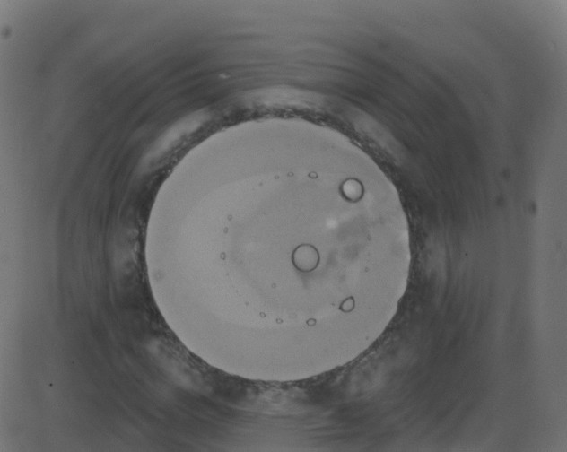 X0000086220824200704051238