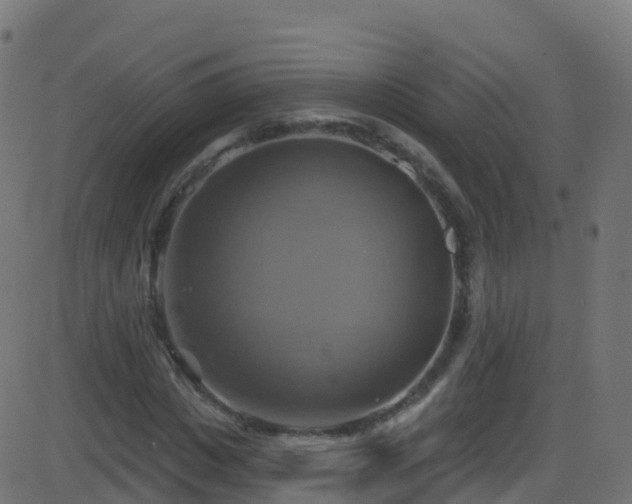 X0000086220825200704051238