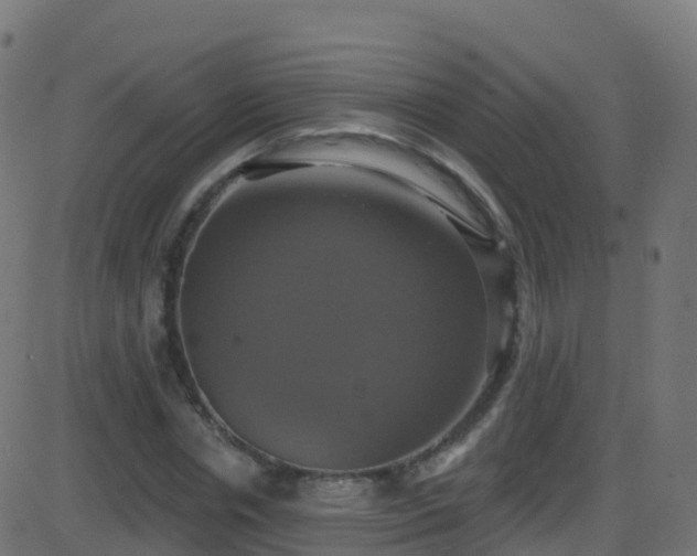 X0000086220826200704051238