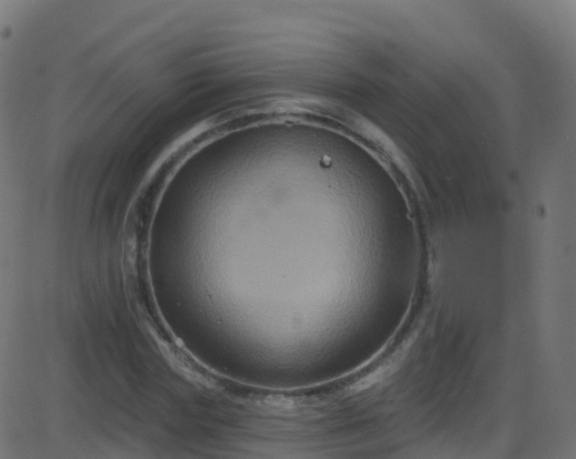 X0000086220827200704051238