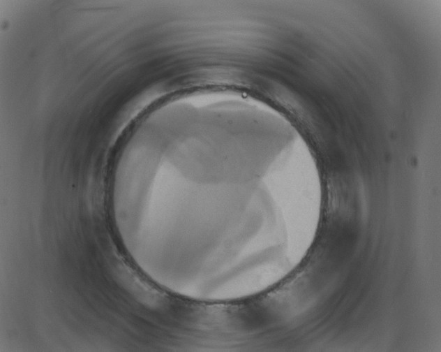 X0000086220828200704051238