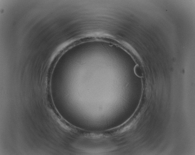 X0000086220831200704051238