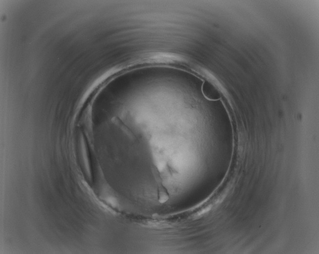 X0000086220835200704051238