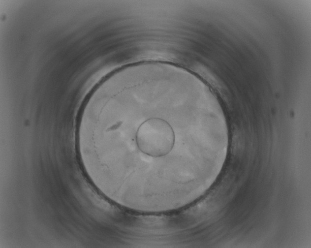 X0000086220836200704051238