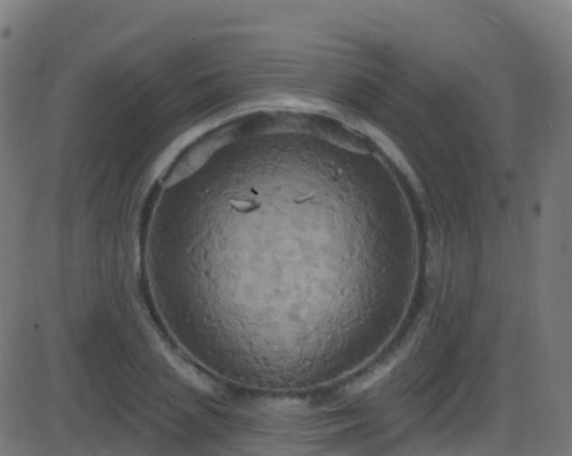 X0000086220837200704051238