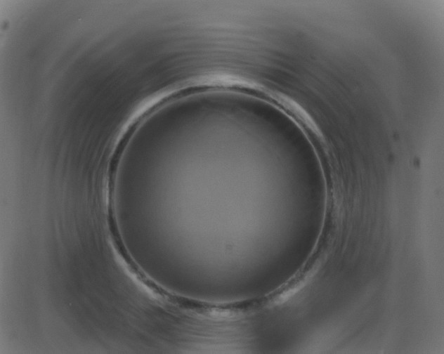 X0000086220839200704051238