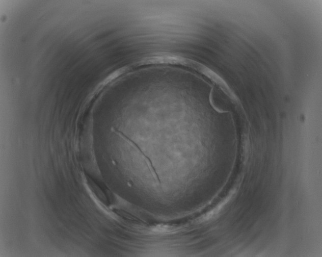 X0000086220841200704051238