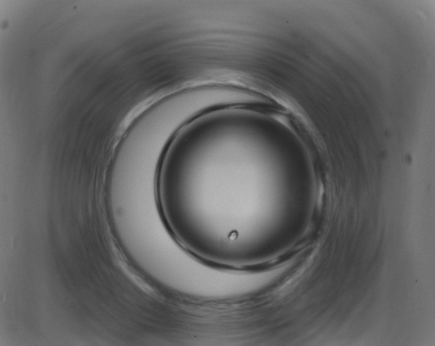 X0000086220842200704051238