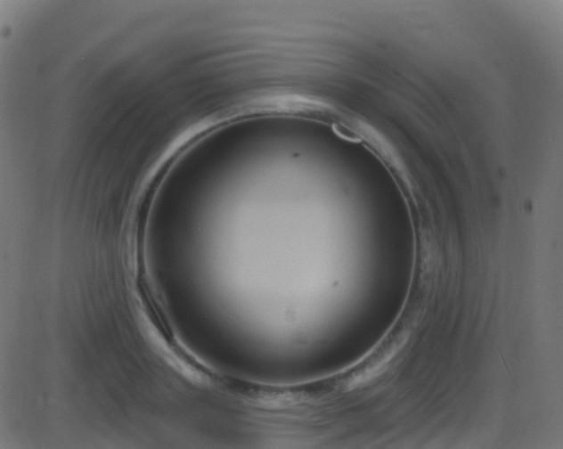 X0000086220843200704051238