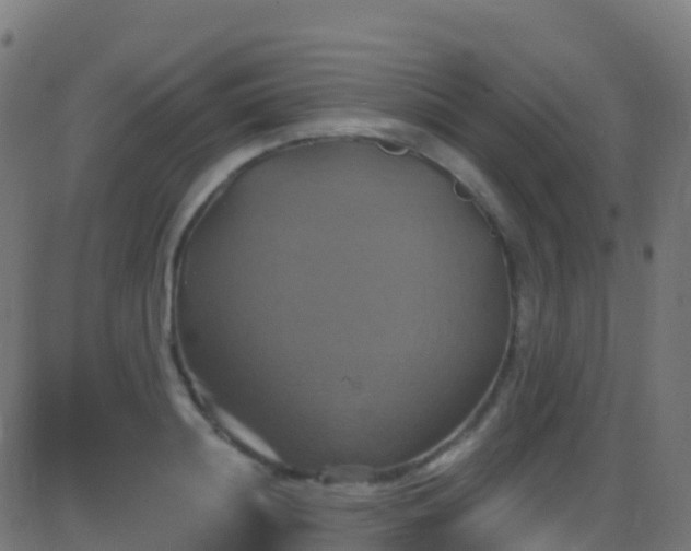 X0000086220844200704051238