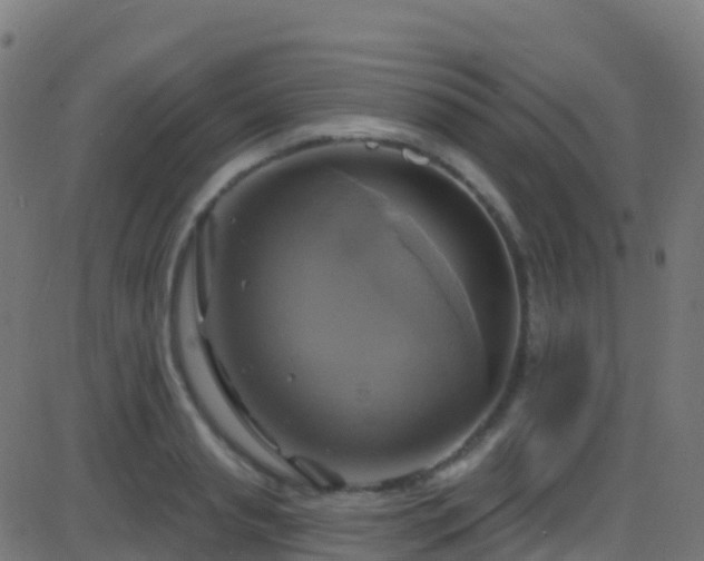 X0000086220845200704051238