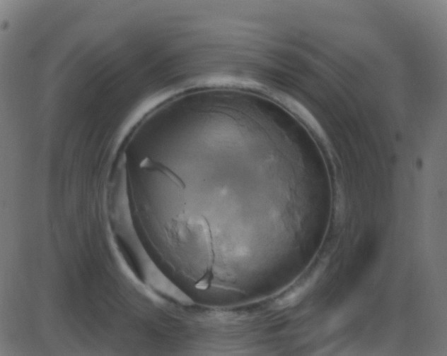 X0000086220847200704051238