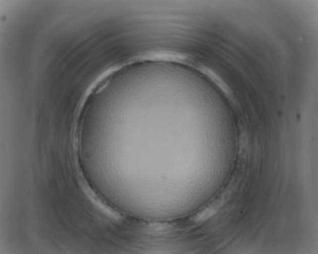 X0000086220848200704051238