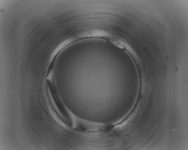 X0000086220850200704051238