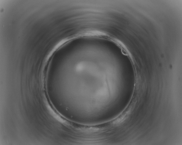 X0000086220851200704051238