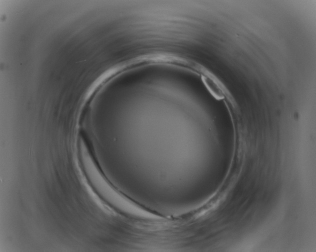 X0000086220853200704051238