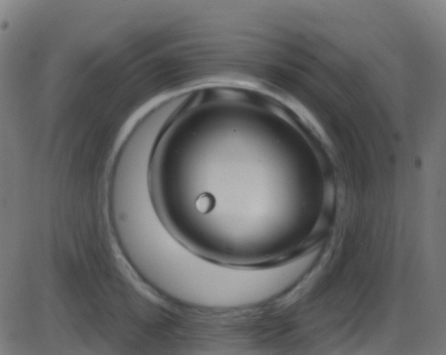 X0000086220854200704051238