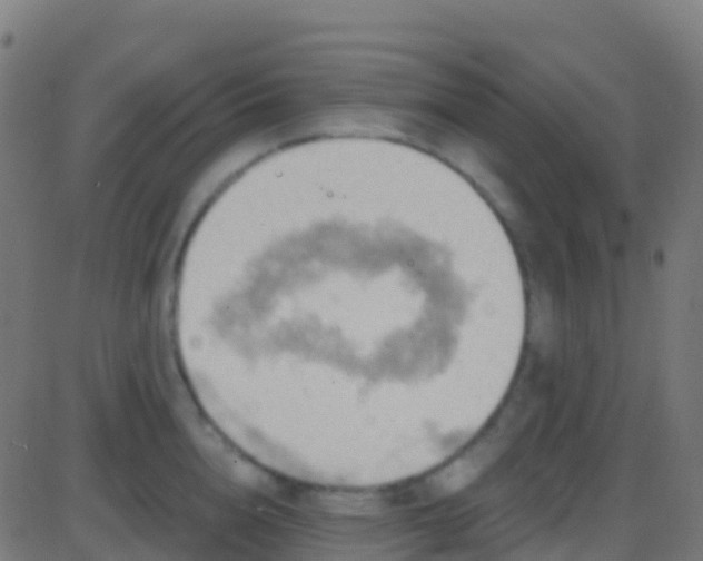 X0000086220856200704051238