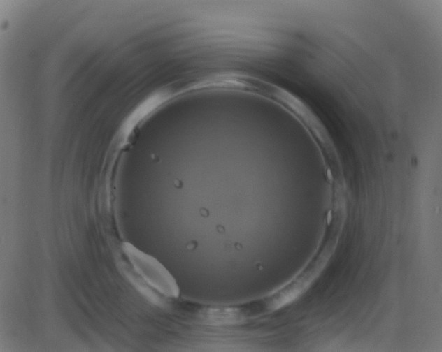 X0000086220858200704051238