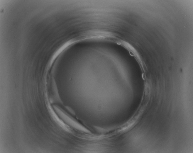 X0000086220859200704051238