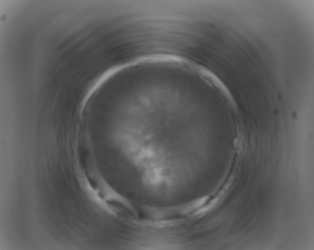 X0000086220860200704051238