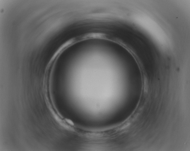 X0000086220861200704051238