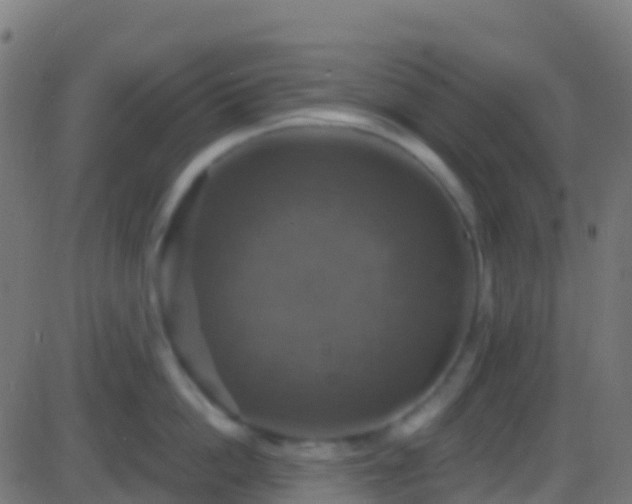 X0000086220862200704051238