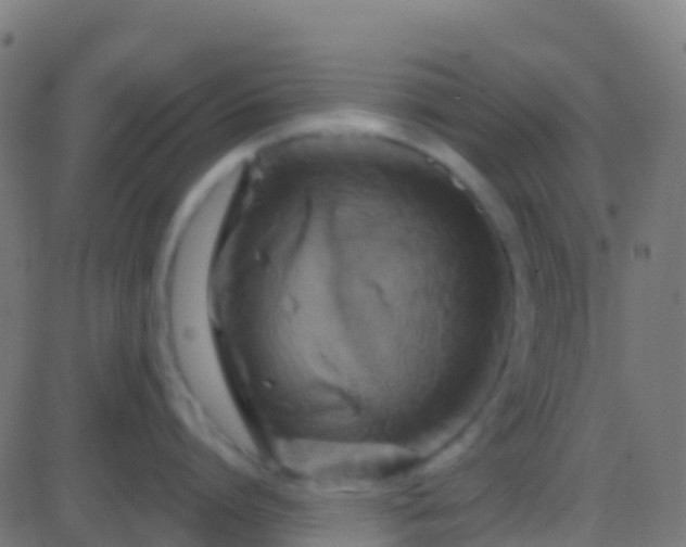 X0000086220864200704051238