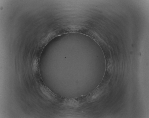 X0000086220866200704051238