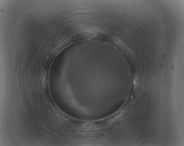 X0000086220867200704051238