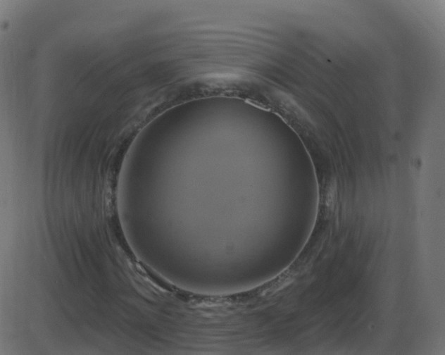 X0000086220868200704051238