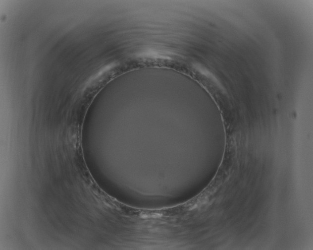 X0000086220870200704051238